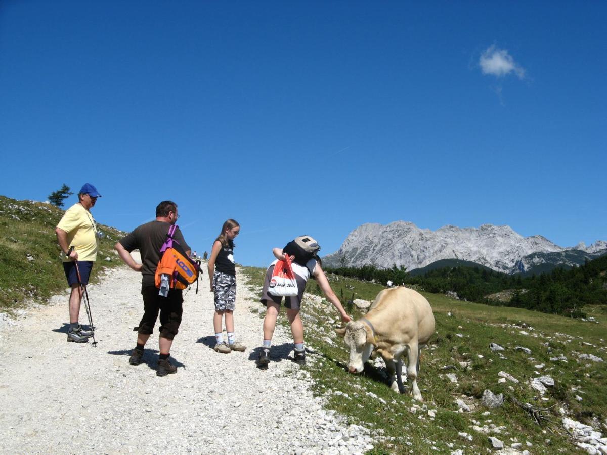 Alpine Chalet Velika Planina - Irenca - I Feel Alps Stahovica Zewnętrze zdjęcie
